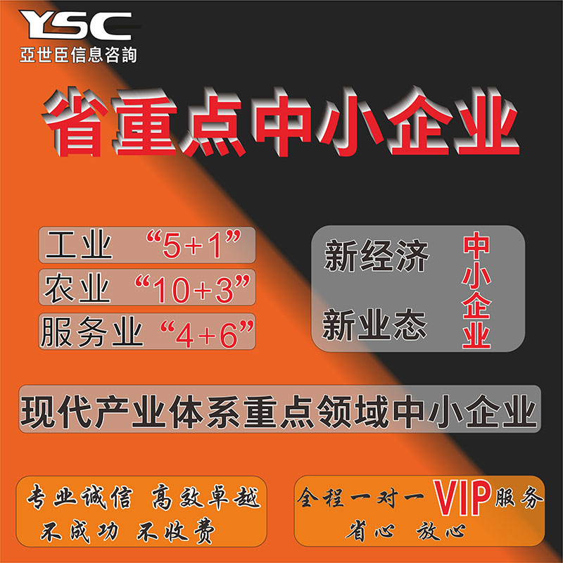 项目申报/省重点中小企业/专精特新/小巨人/高成长性企业/体系认证