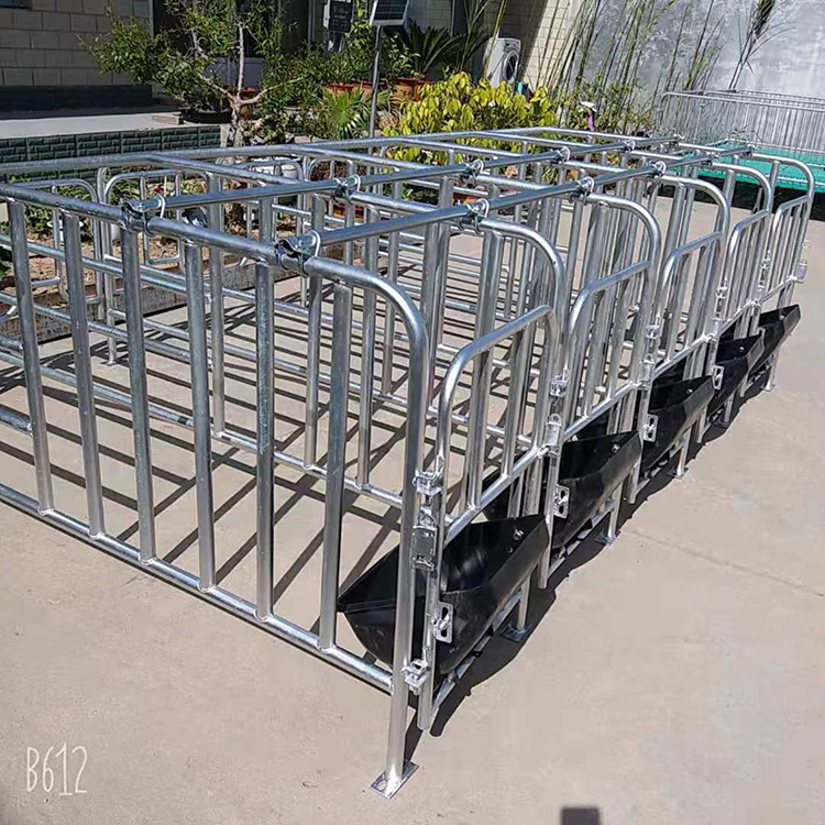 双体母猪产床保育两用分娩床限位栏定位栏 全复合板双体母猪产床 支持定制