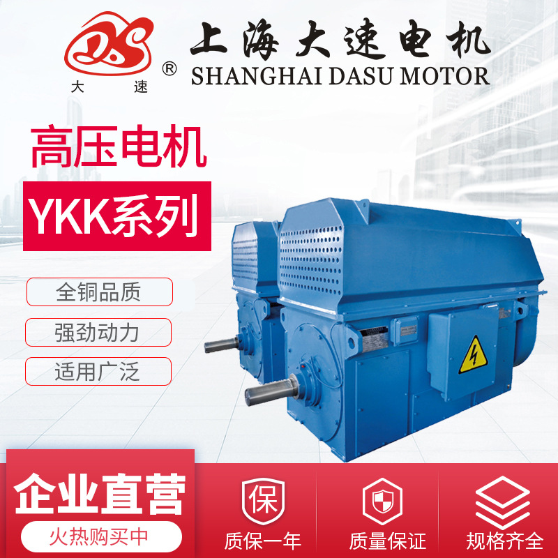 上海大速防爆型YKK高压三相异步电动机机械设备用高压电机