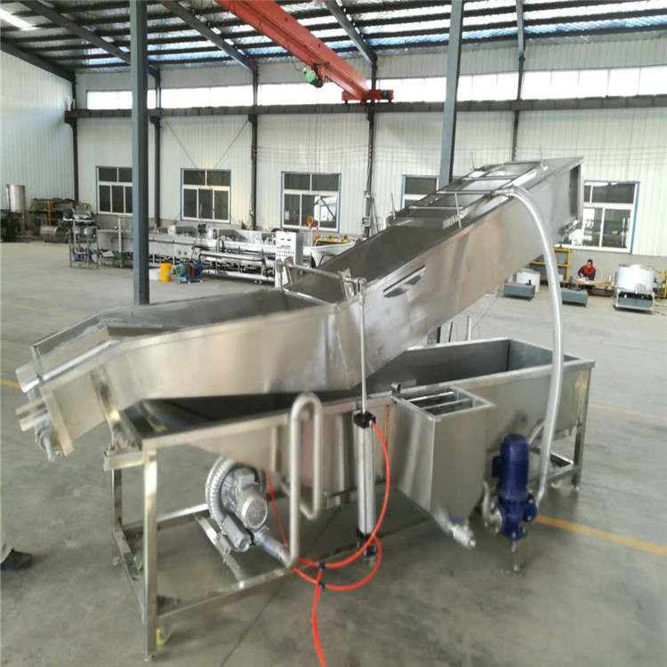 全自动果蔬清洗流水线支持加工定制  提升工作效率  高压喷淋气泡清洗机