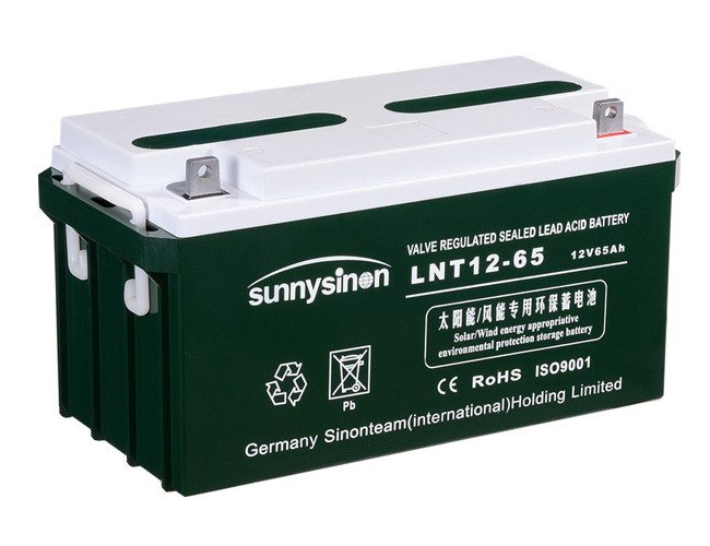 德国赛能蓄电池LNT12-65 12V65AH 电厂铅酸免维护UPS直流屏