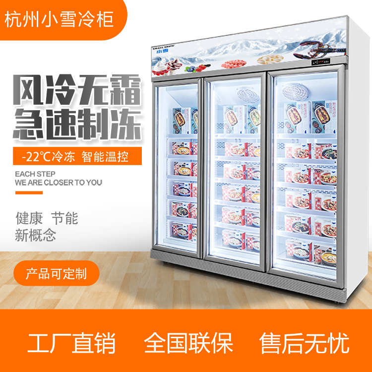 超市立式三门低温冷冻展示柜水饺汤圆冷冻冰箱商用杭州小雪冷柜