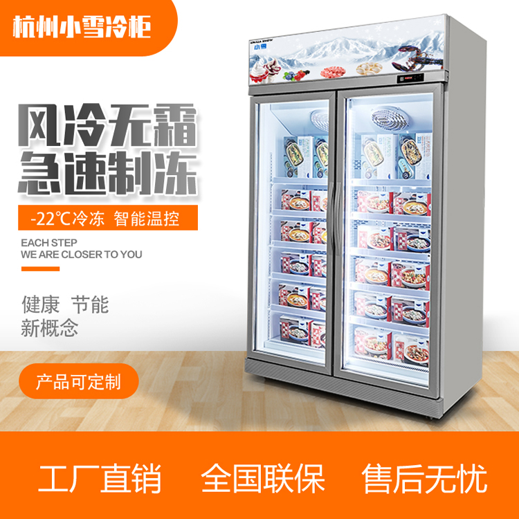 立式双门牛肉冷冻柜火锅底料展示柜玻璃门风冷商用杭州小雪冷柜
