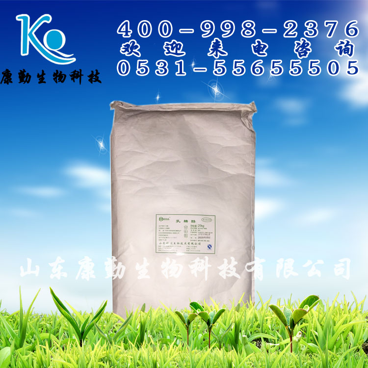 食品级乳糖醇厂家  批发零售 现货供应 乳糖醇 长期销售甜味剂
