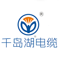千岛湖中策控股有限公司 标志