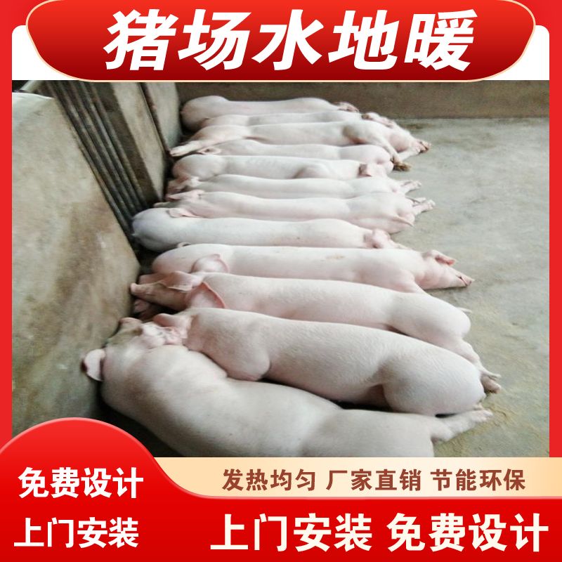 养殖场猪用水地暖节能高效猪用电地暖上门设计安装施工