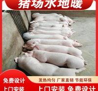 养殖场猪用水地暖节能高效猪用电地暖上门设计安装施工