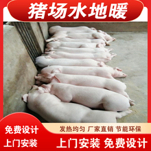 养殖场猪用水地暖节能高效猪用电地暖上门设计安装施工