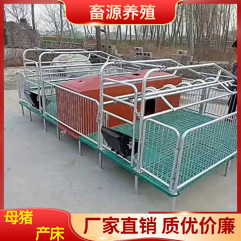 畜源养殖 2.2*3.6母猪产床 产保一体产床   厂家直销 量大从优