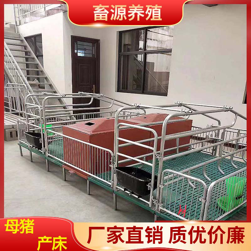 畜源养殖  热镀锌母猪产床实力生产厂家