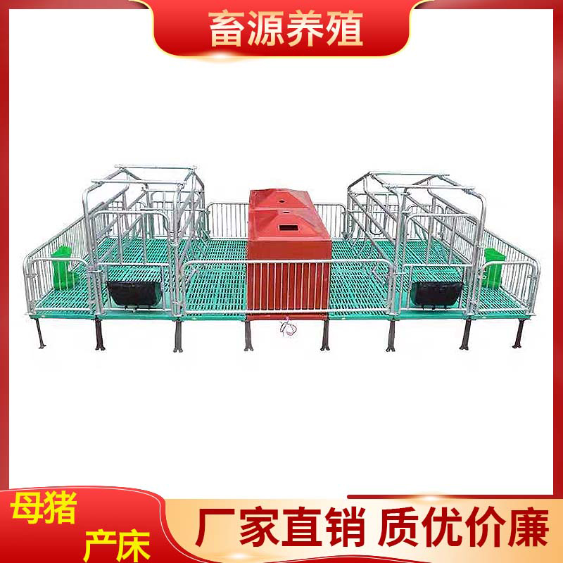 畜源养殖 2.2*3.8母猪产床  量大从优