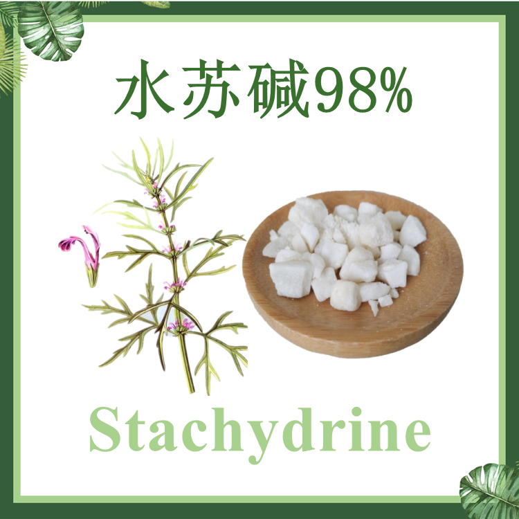 益母草提取物 水苏碱98% Stachydrine 白蜡色块状 CAS#4716-37-2