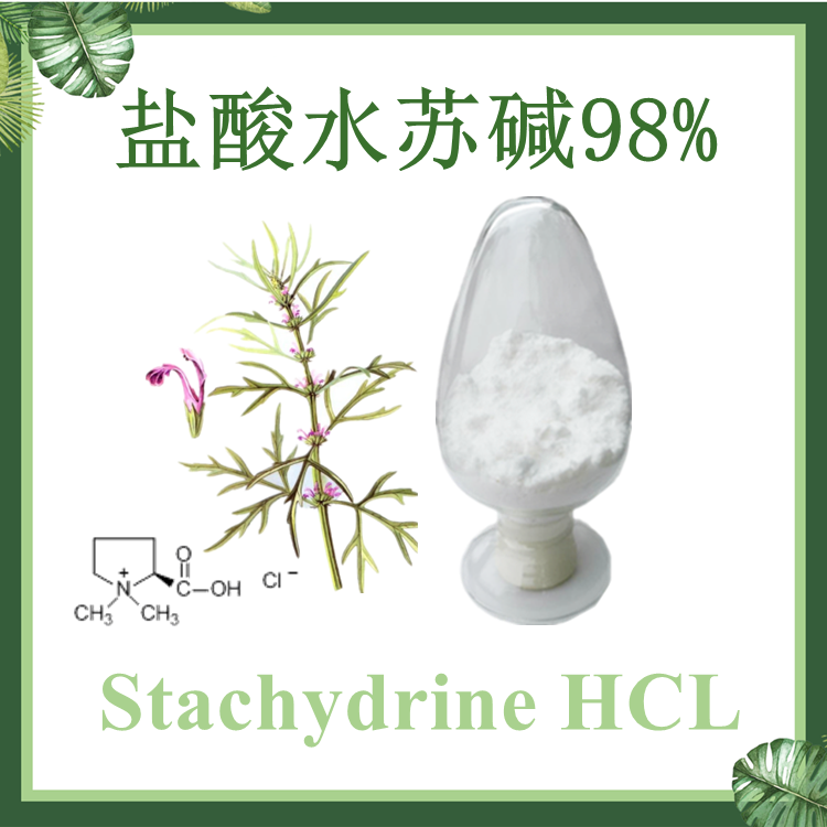供应：益母草提取物 盐酸水苏碱98% 水苏碱 白色粉末 4716-37-2