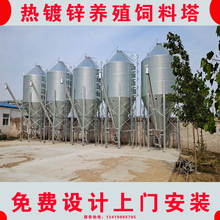 免费设计安装料塔3-40吨自动化料塔料线养殖场饲料塔20吨热镀锌料塔养猪全配套