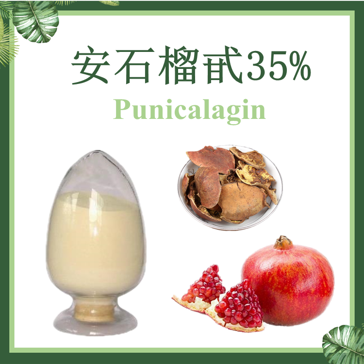 安石榴甙10%-35% HPLC  石榴皮提取物 安石榴甙35%