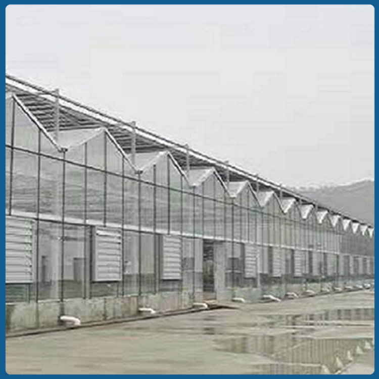 重庆   智能连栋玻璃温室价格  寿光农业蔬菜种植玻璃温室
