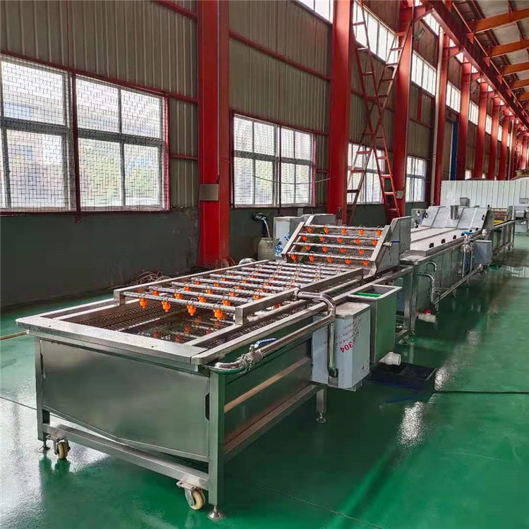 厂家供应山药片漂烫加工设备 山药丁清洗蒸煮机 毛豆速冻加工线设备商