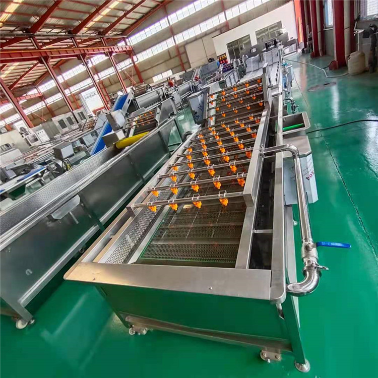 西红柿漂烫生产线批发价 番茄酱前期加工流水线设备 蔬菜漂烫清洗加工设备