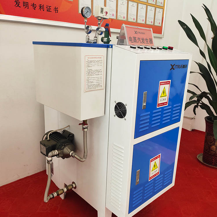 热能电蒸汽发生器 自动补水电蒸汽锅炉 小型电热蒸汽发生器 创新实体厂供应
