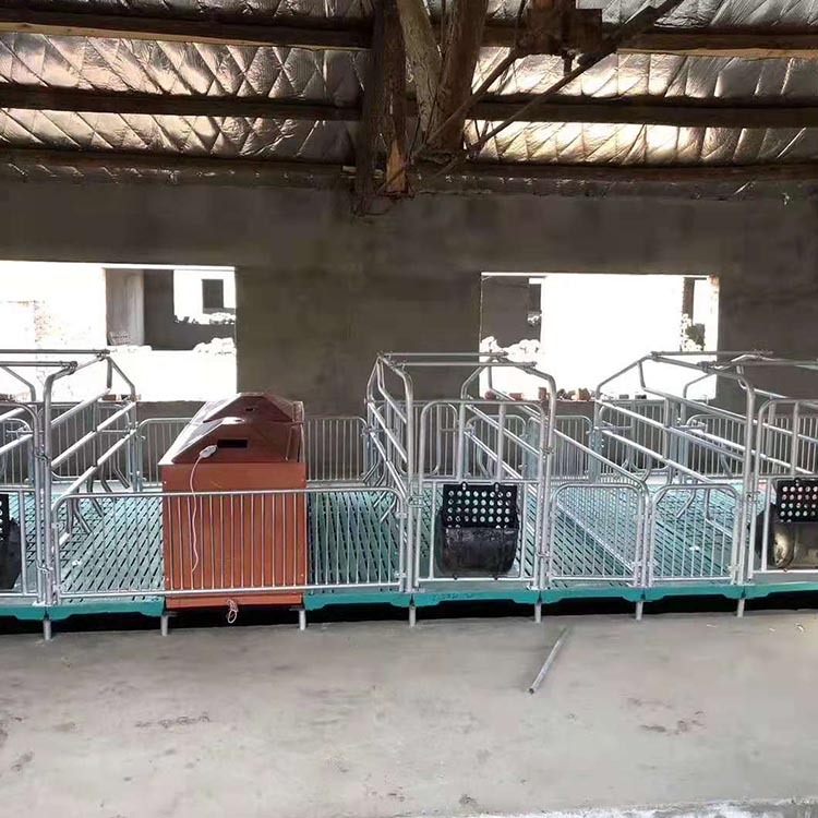 产床 热镀锌双体产床 铸铁母猪产床 物流便捷 可定制