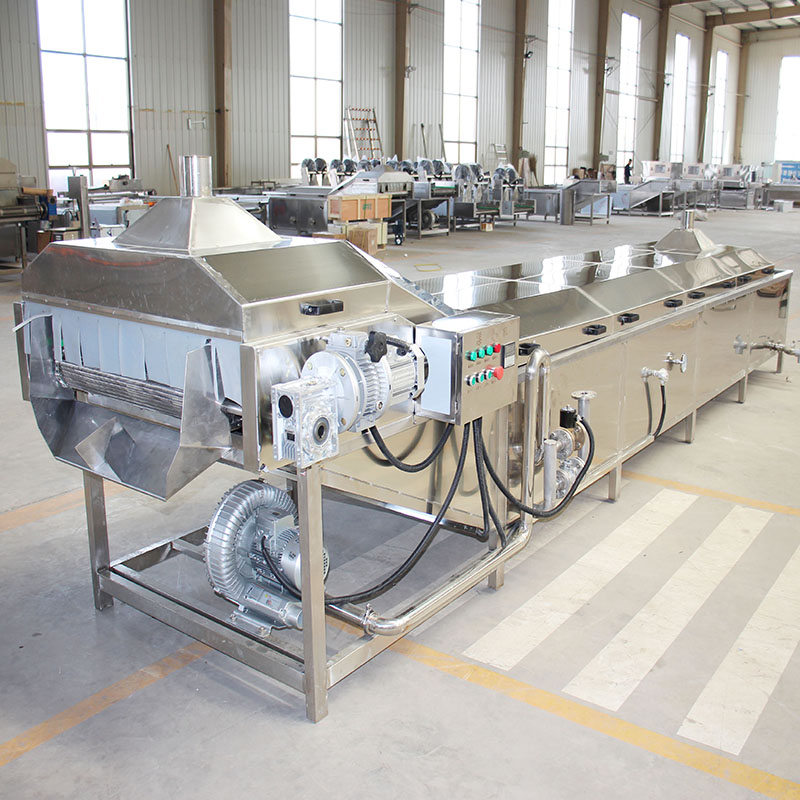 果蔬加工成套设备 山东华力 多功能 1.5kw 供应 气泡冲浪喷淋式