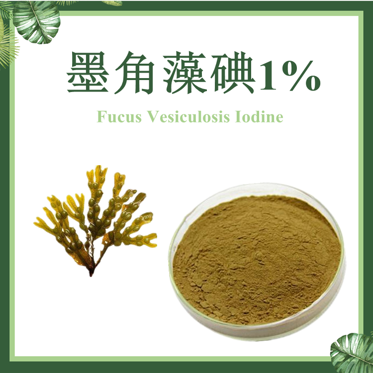 墨角藻提取物 墨角藻碘0.1~1% 现货供应