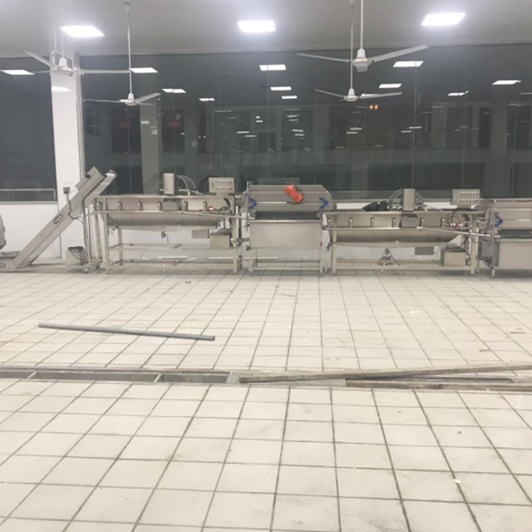 全自动涡流清洗机生产厂家  省水省人工  涡流蔬菜清洗机