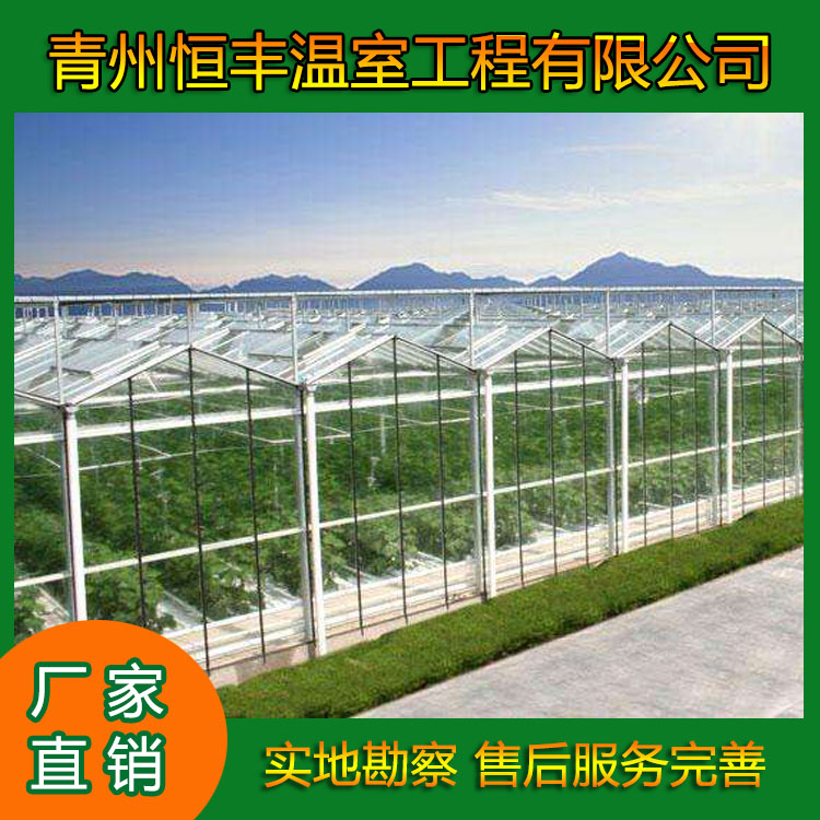 恒丰连栋玻璃温室大棚   玻璃作为覆盖材料  适于多种地区和气候