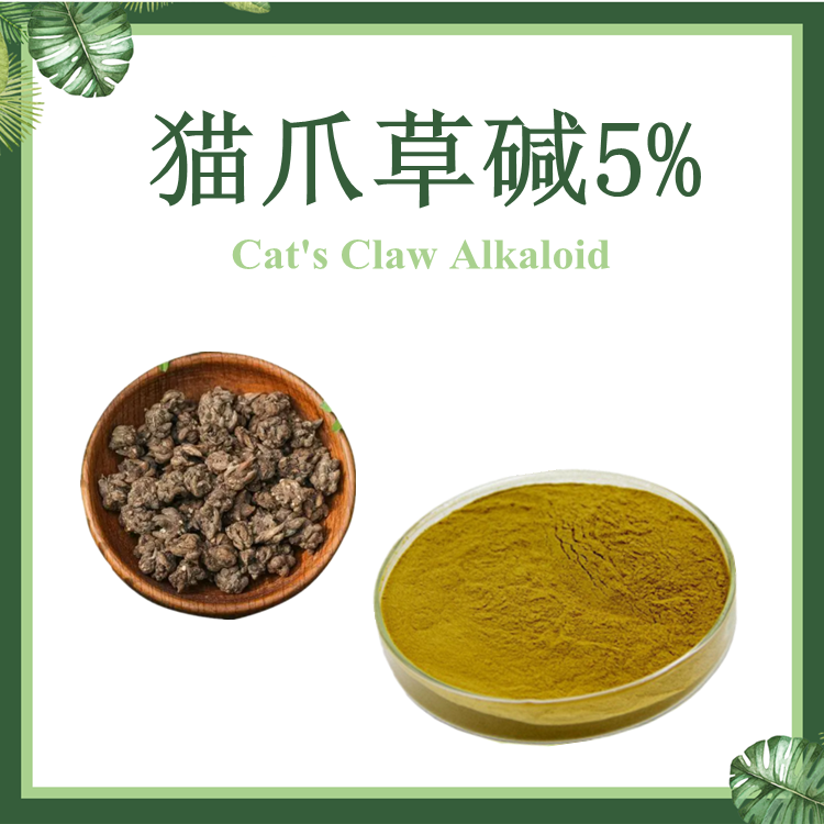 猫爪草提取物 生物碱5% 猫爪草碱5%  现货供应