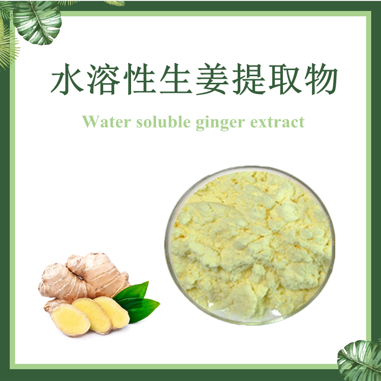 水溶性生姜提取物 姜辣素1% 全水溶 现货供应