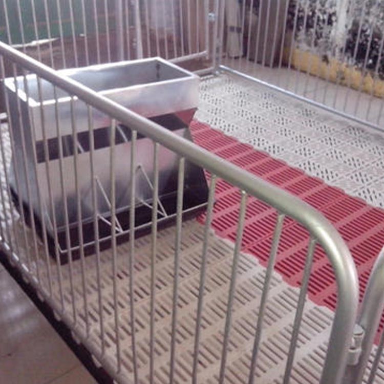 仔猪全复合保育床 养殖场用保育床 猪场用仔猪保育床 服务贴心