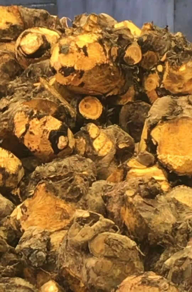 孟现良中药材大黄 大黄多少钱一斤 大黄中药材批发零售 大黄产地低价批发 大黄中药材批发