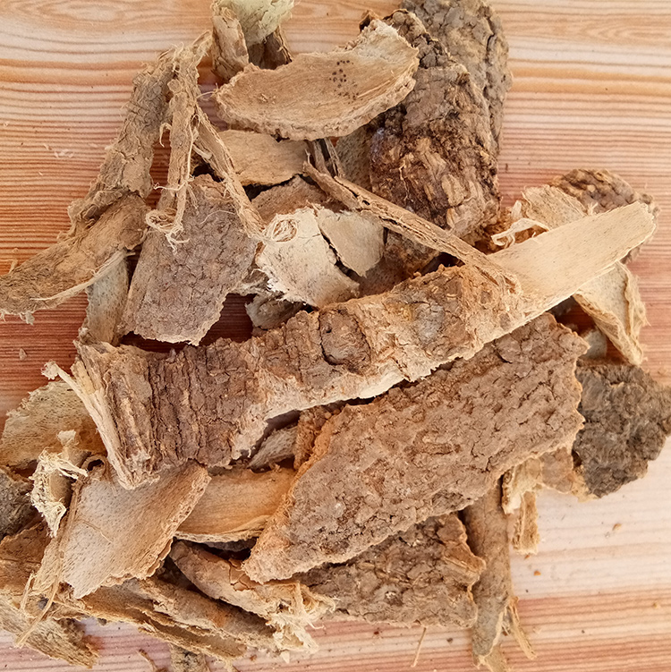 椿皮药材批发价格 椿皮药材供应 椿皮道地药材 椿皮品质可靠 椿皮符合《中国药典》