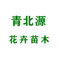 青州市青北源花卉苗木有限公司 标志