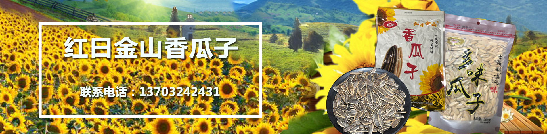 唐山市丰润区前泥河金山炒货厂（普通合伙） 主营产品