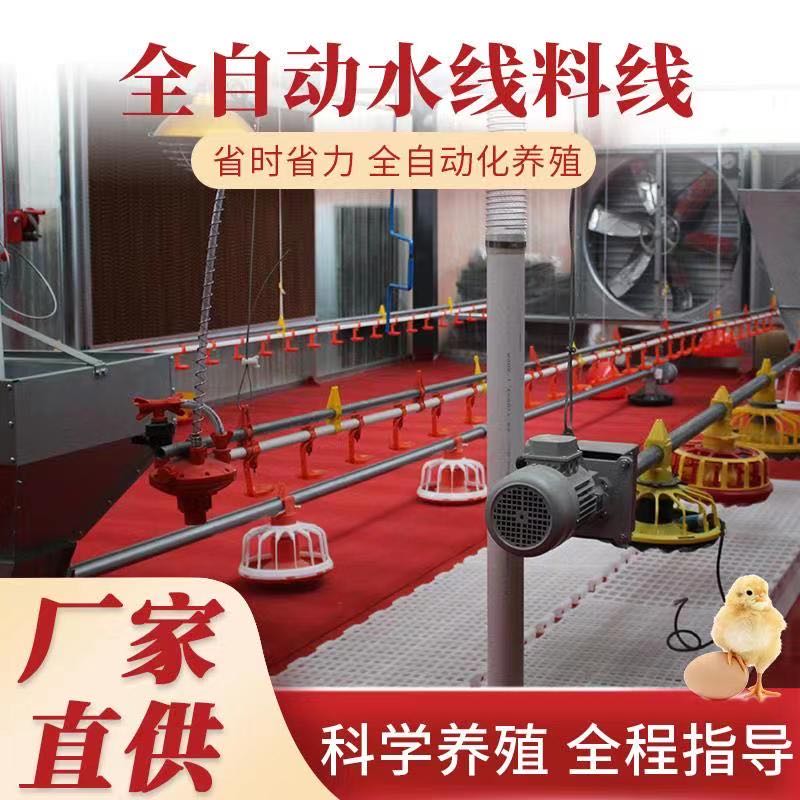 养鸡养鸭料线安装  鸡舍大棚自动喂料线  水线价格
