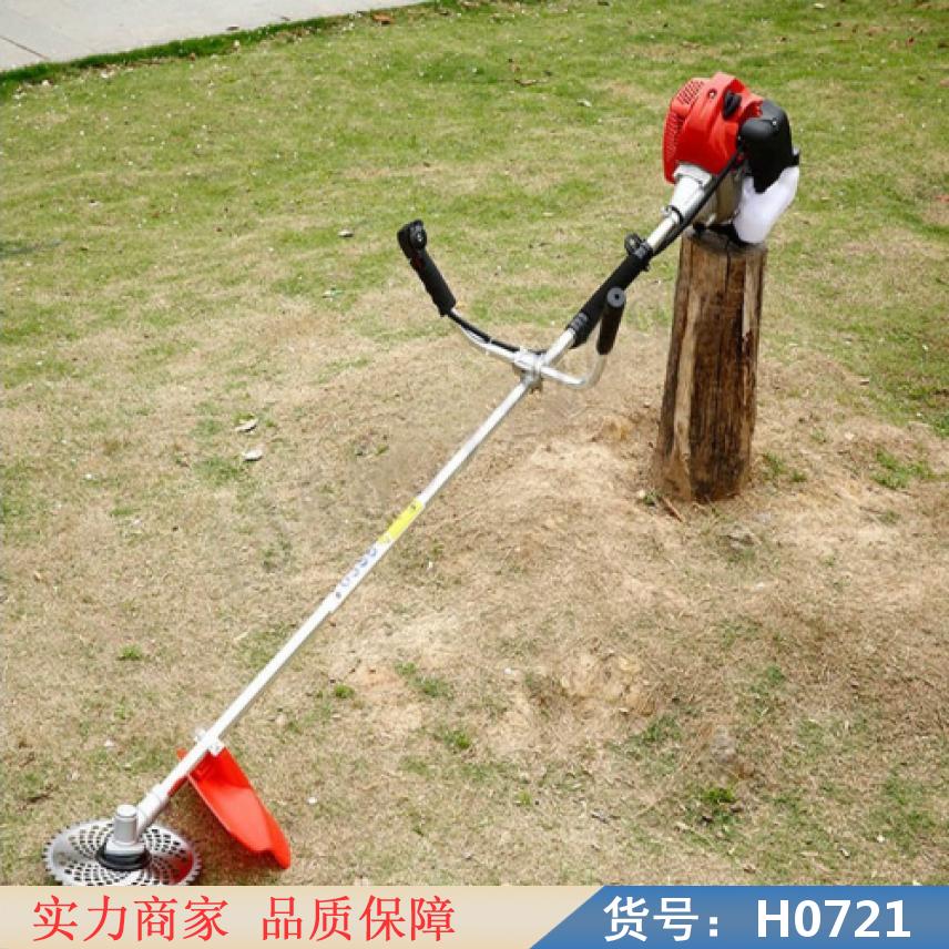 朵麦电动割草机 割草机汽油 手推式割草机货号H0721