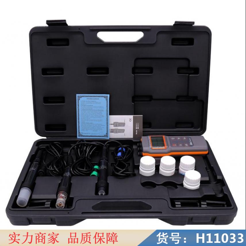 朵麦水/废水处理溶氧仪 工业溶氧仪 智能溶氧仪货号H11033