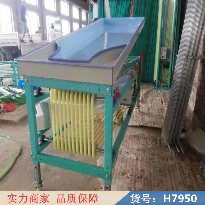 朵麦砂糖桔选果机 全自动柑橘洗果选果机 小型圣女果选果机货号H7950