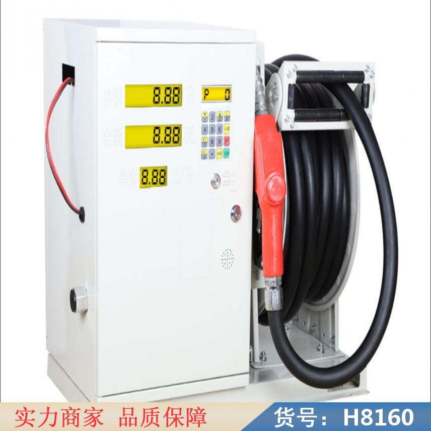 朵麦防爆微型加油机 小型加油机220v 车载小型加油机货号H8160