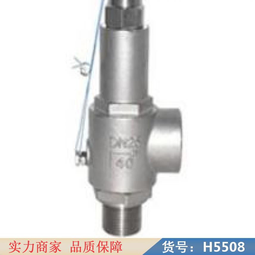 朵麦弹簧微启式安全阀 管道安全阀 热水安全阀货号H5508