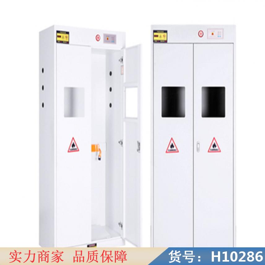 朵麦双瓶气瓶柜 智能气瓶柜 4气瓶柜货号H10286