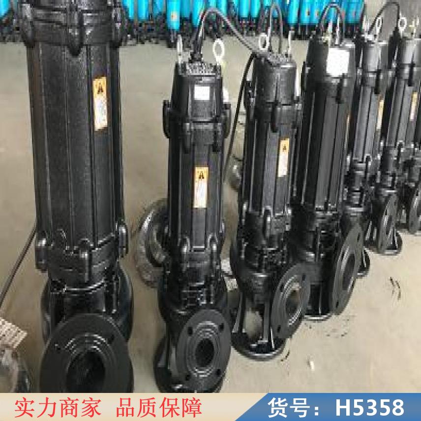 朵麦立式排污泵 自动搅匀排污泵 矿用排污泵货号H5358