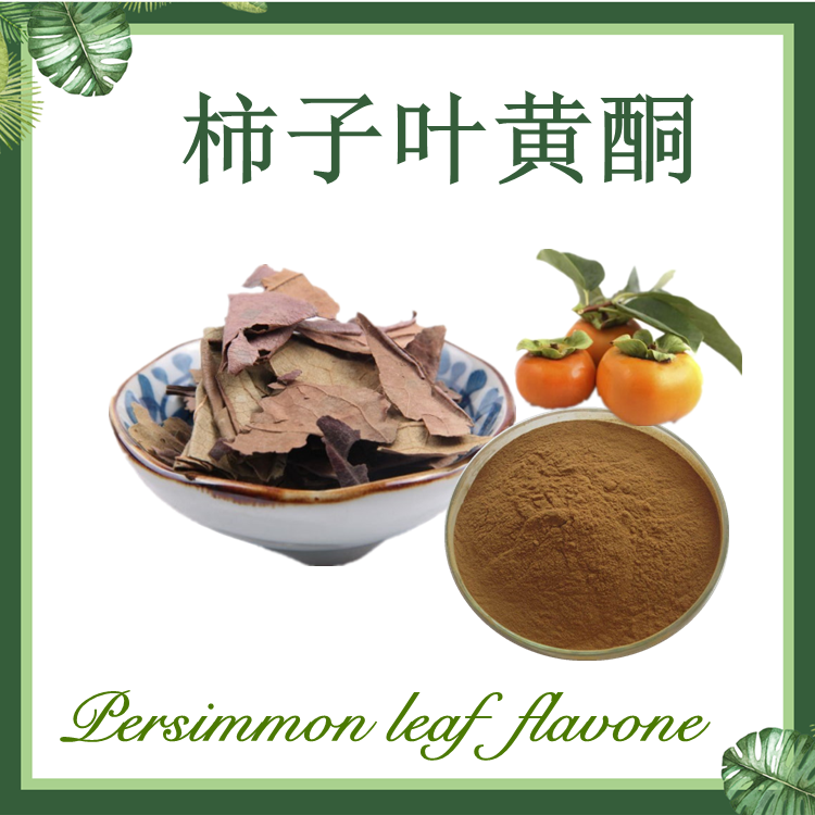 柿叶提取物 柿叶黄酮 柿子叶提取物 柿子叶黄酮