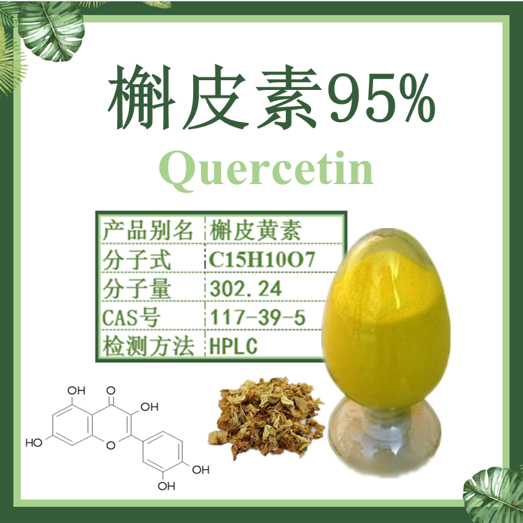槲皮素 槐米提取物95%-99% HPLC