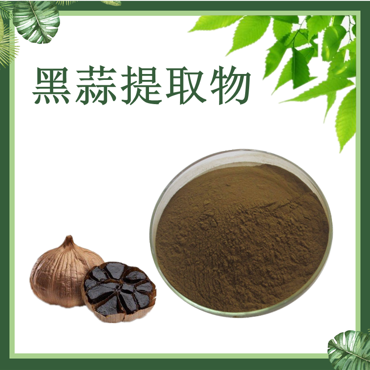 黑蒜提取物 10:1 发酵黑蒜提取物 黑大蒜粉