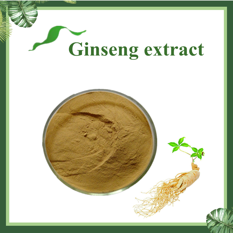 人参提取物 10:1 Ginseng Extract 现货供应