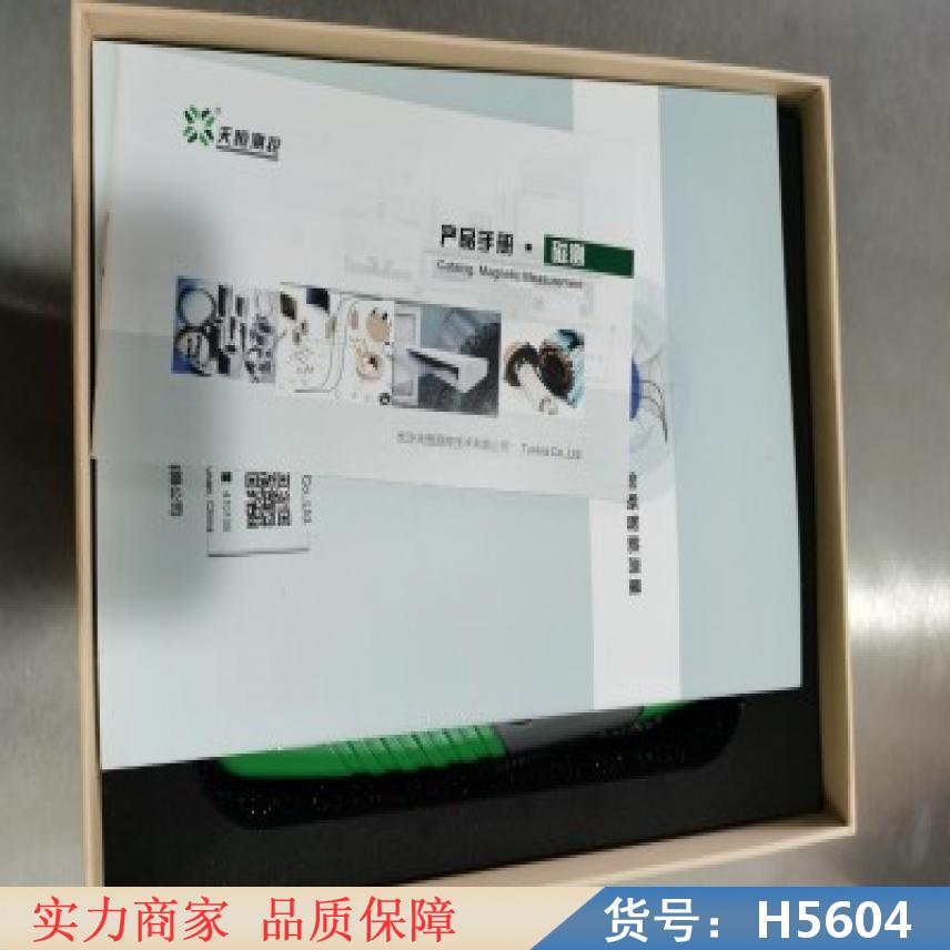 朵麦磁通门高斯计 笔式高斯计 TD8620高斯计货号H5604