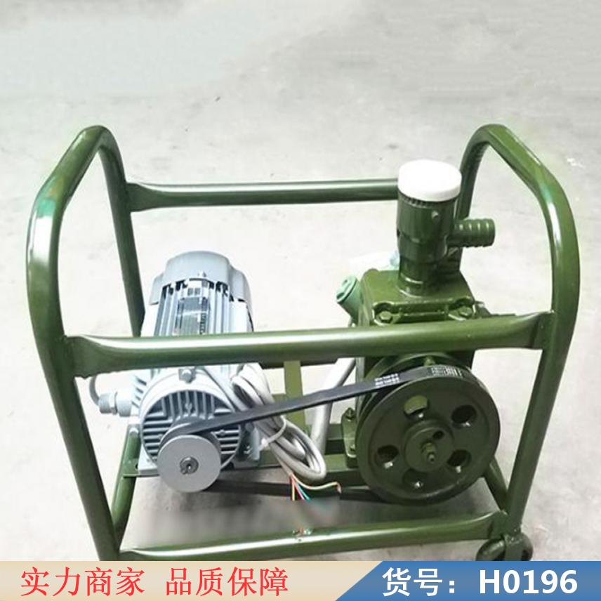 朵麦电动计量加油泵 计量加油泵 计量泵货号H0196