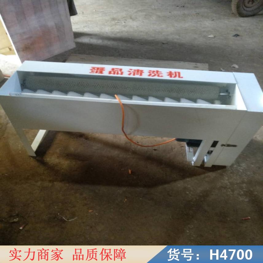 朵麦小型电动洗蛋机 全自动大型电动洗蛋机 新型蛋品清洗机货号H4700
